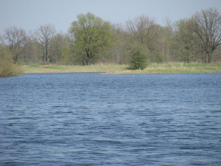 Миси з panoramio.com - Mysy