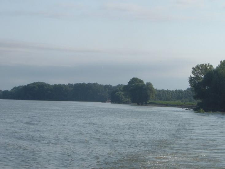Кислиця з panoramio.com - Кислиця