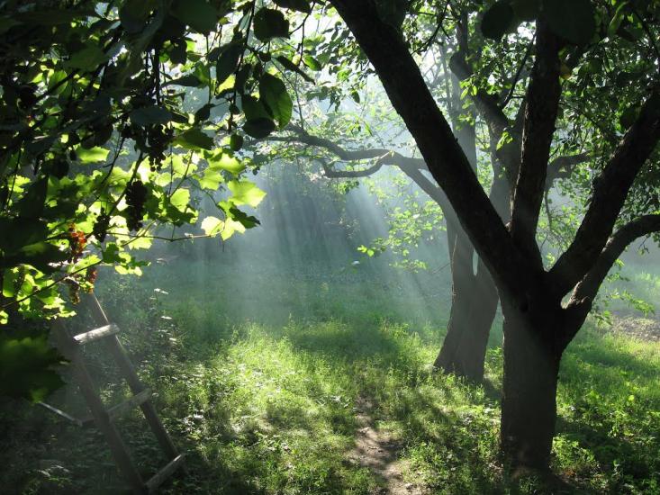 Мала Помічна з panoramio.com - Малая Помошная