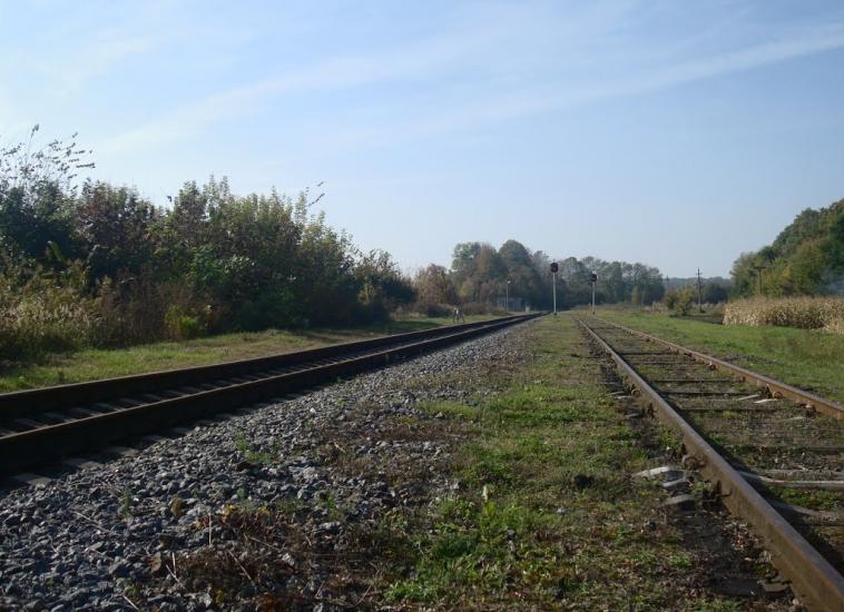 Лісоводи з panoramio.com - Лісоводи