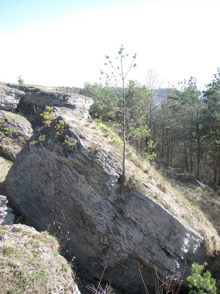 кременець - Кременець