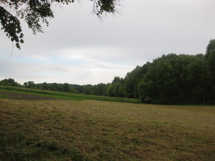 Черепашинці з panoramio.com - Cherepashyntsi
