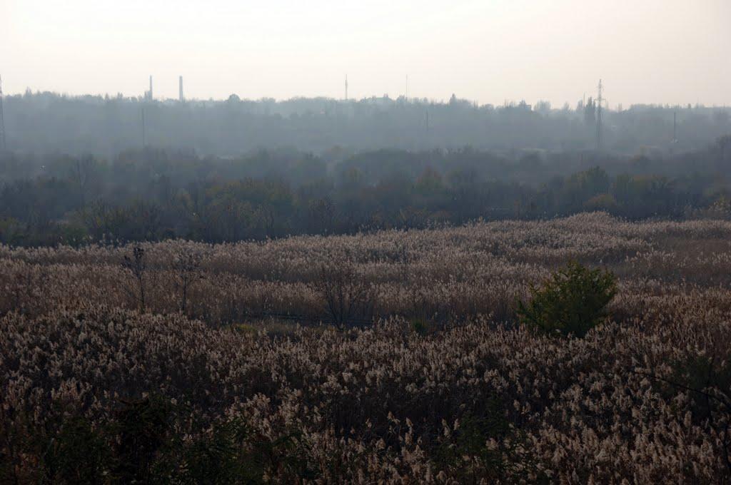 Піски з panoramio.com - Піски