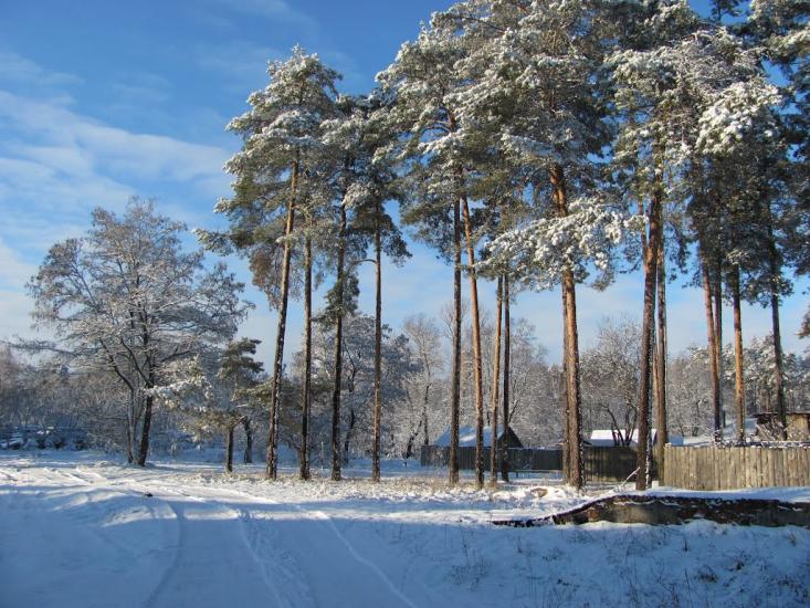 Гончарівське з panoramio.com - Goncharivske