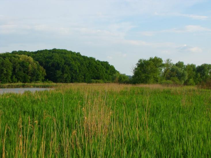 Чернин з panoramio.com - Чернин