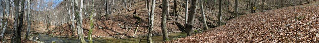 Овражки з panoramio.com - Овражки