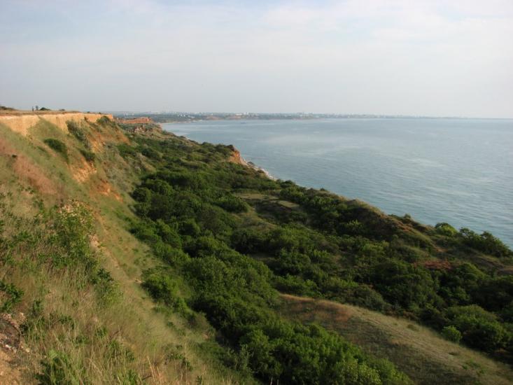 Любимівка з panoramio.com - Любимовка
