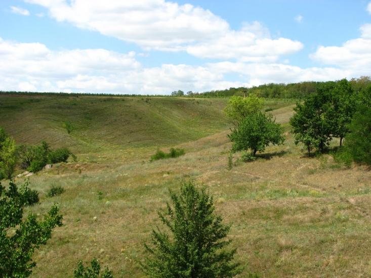 Ольгівка з panoramio.com - Ольгівка