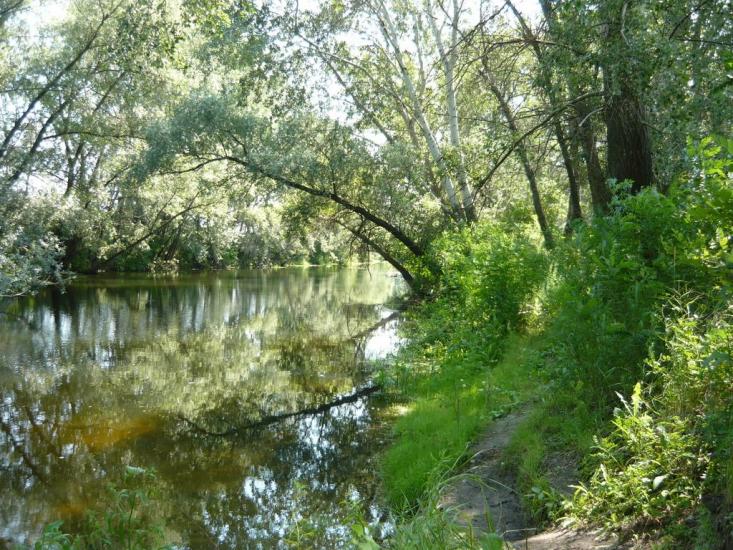 Гречане з panoramio.com - Гречаное