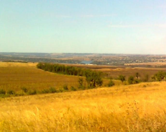 Малокостянтинівка з panoramio.com - Малокостянтинівка