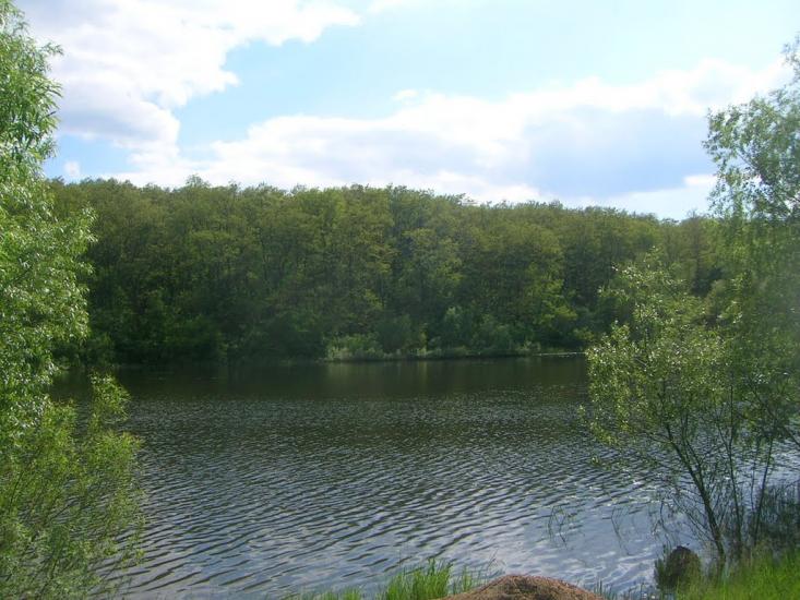 Северинівка з panoramio.com - Северинівка