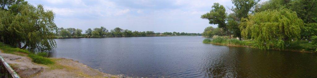 Петриківка з panoramio.com - Петриковка