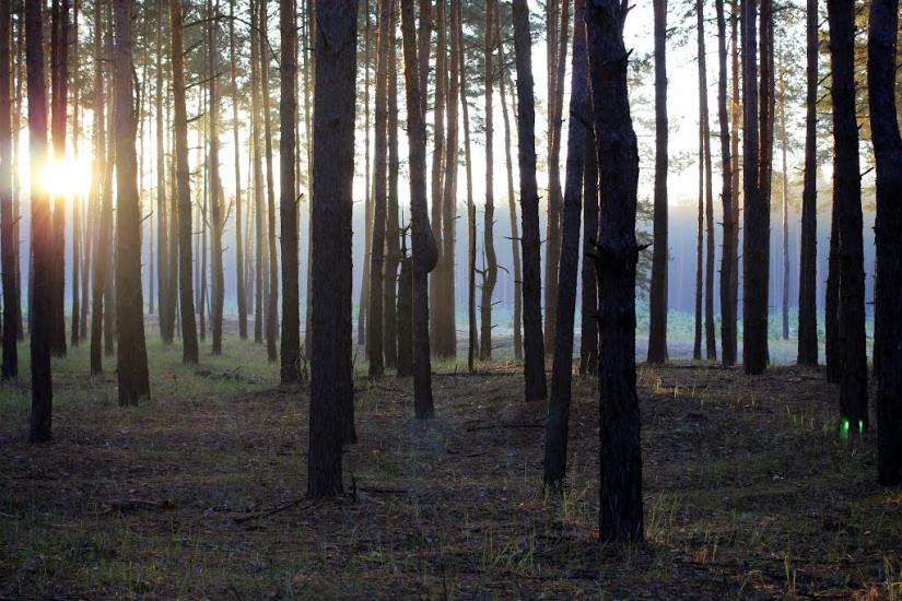 Ямпіль з panoramio.com - Ямполь