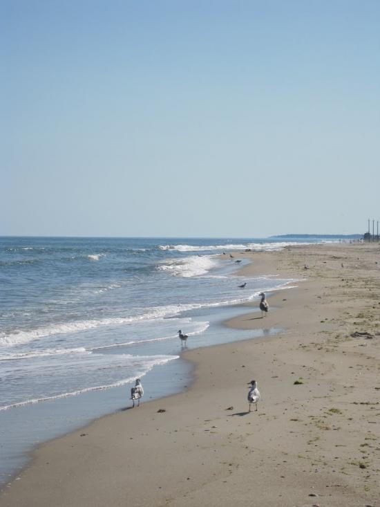 Сергіївка з panoramio.com - Сергіївка