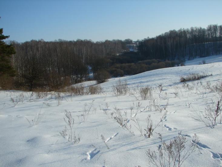 Мохначі з panoramio.com - Мохначі