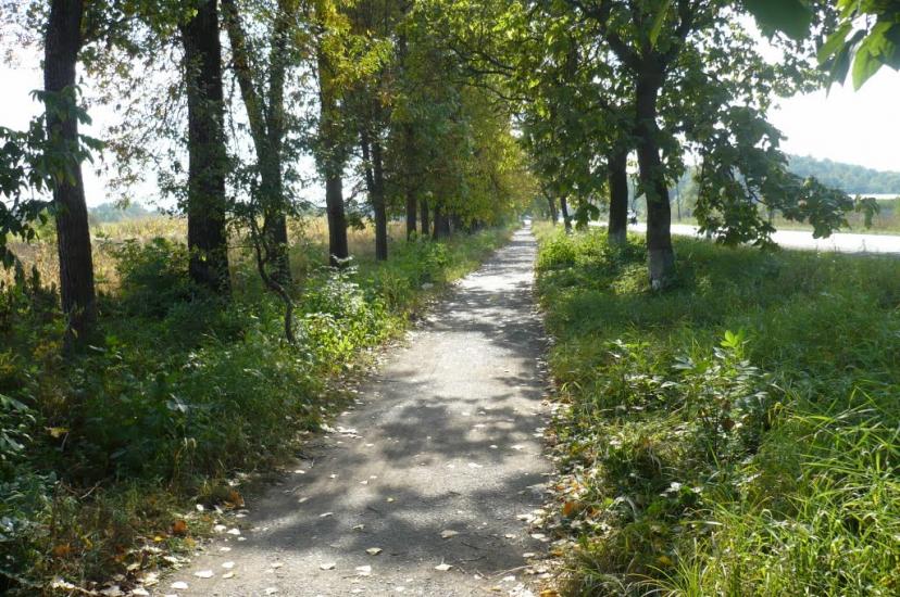 Іршава з panoramio.com - Иршава