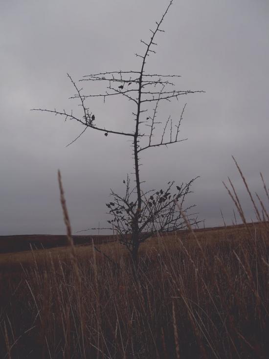 Маслії з panoramio.com - Маслии