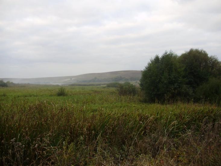 Городище з panoramio.com - Городище