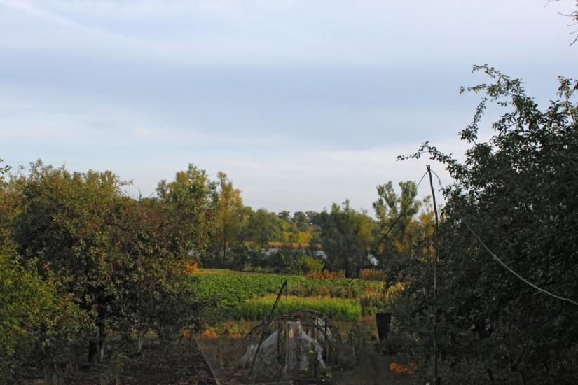 Устя з panoramio.com - Устя