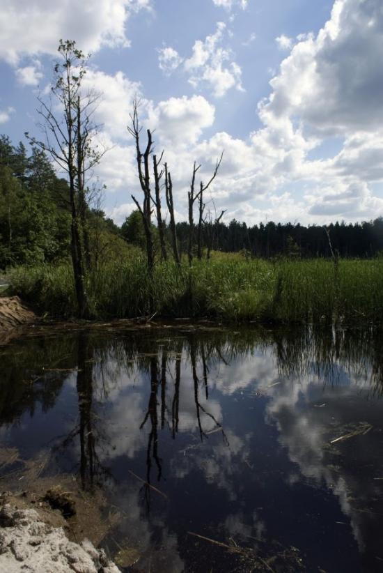 Кошари з panoramio.com - Кошари