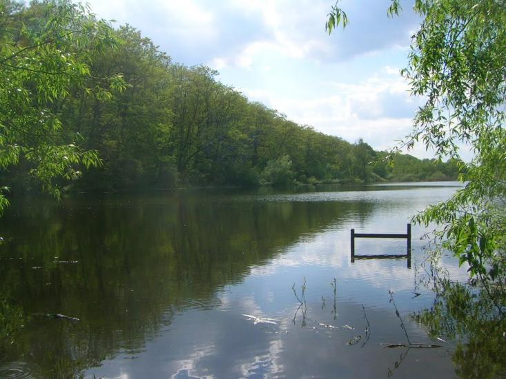 Северинівка з panoramio.com - Северинівка