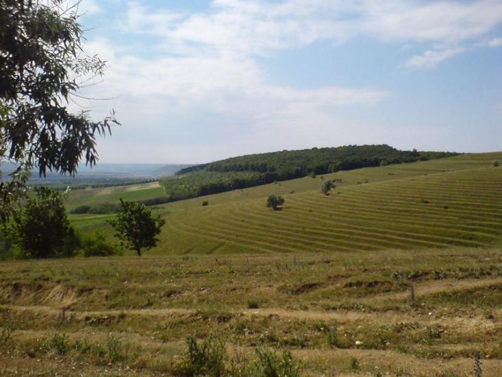 Новодністровськ з panoramio.com - Новодністровськ