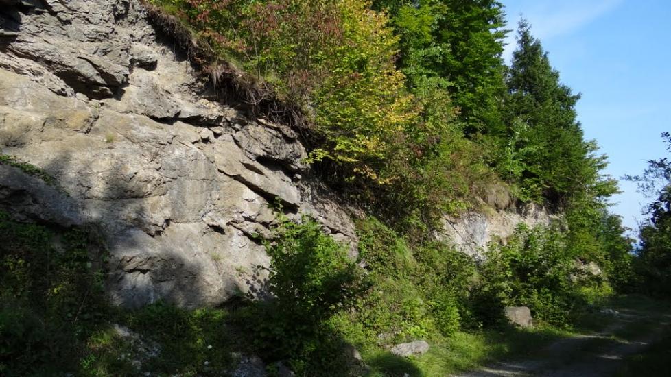 Луг з panoramio.com - Луг