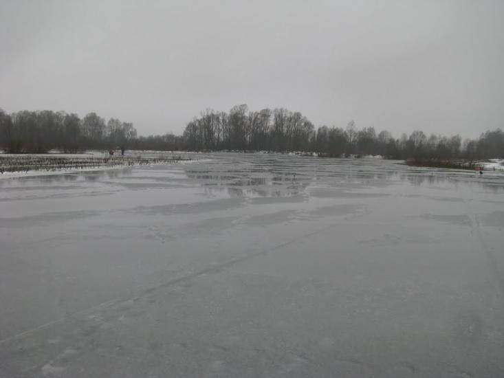 Миси з panoramio.com - Mysy