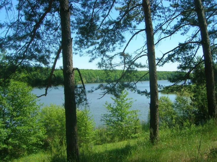 Чернин з panoramio.com - Чернин