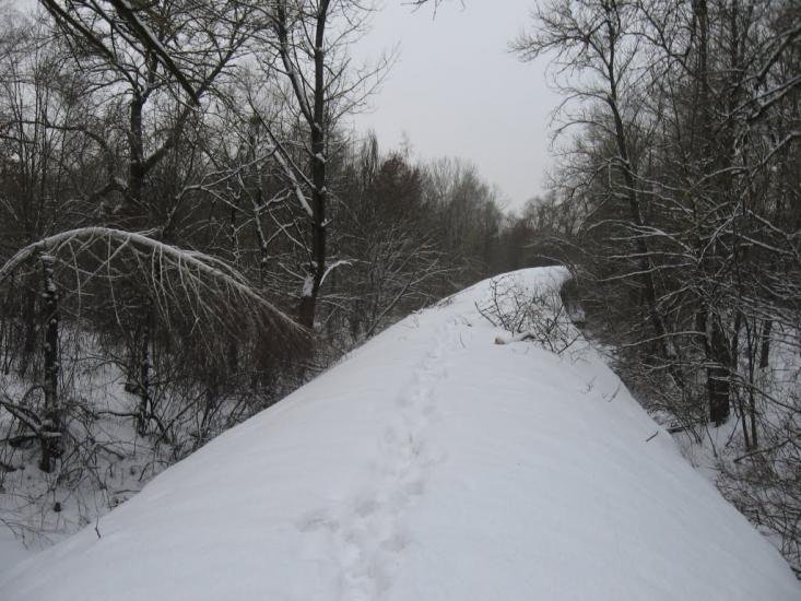 Лісники з panoramio.com - Лесники