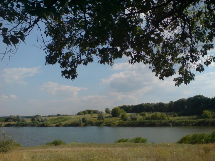 Димитров з panoramio.com - Димитров