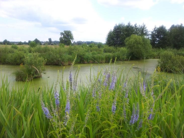 Кримок з panoramio.com - Кримок