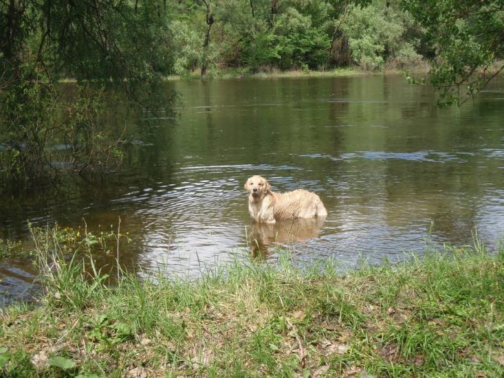 Крехаїв з panoramio.com - Крехаїв