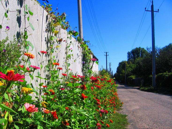 Придніпровське з panoramio.com - Придніпровське