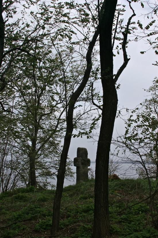 Луковиця з panoramio.com - Луковица