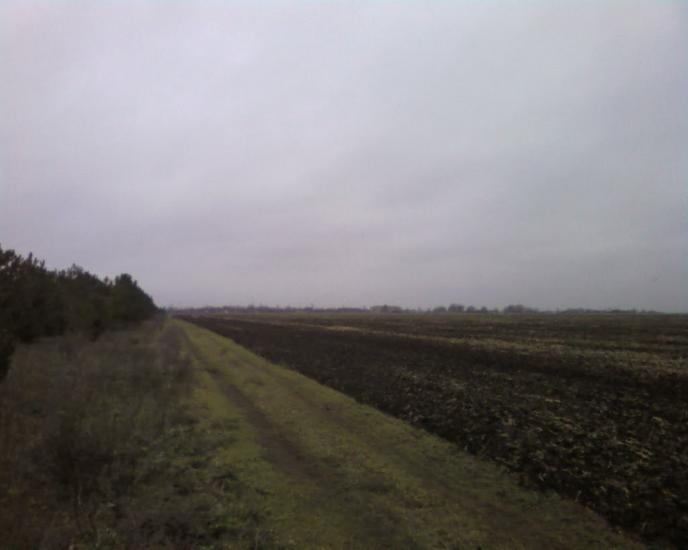 Верхні Торгаї з panoramio.com - Верхні Торгаї