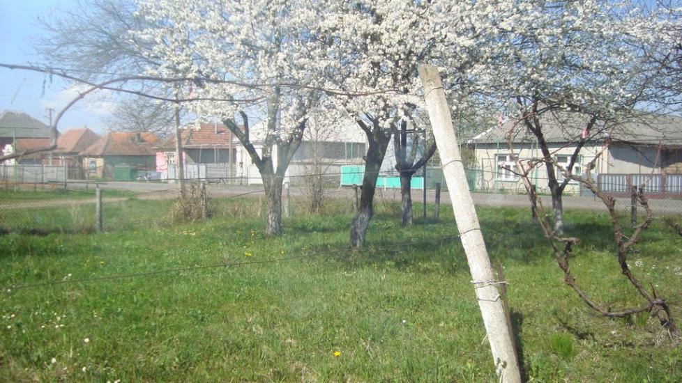 Макарьово з panoramio.com - Makarovo