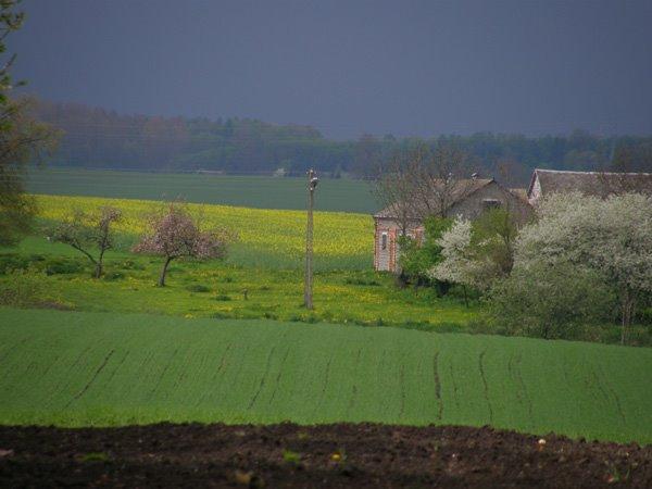 Корчів з panoramio.com - Корчев