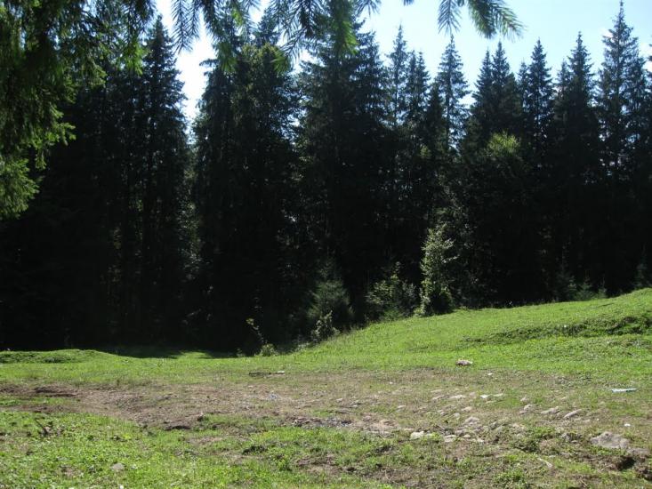 Згари з panoramio.com - Згари