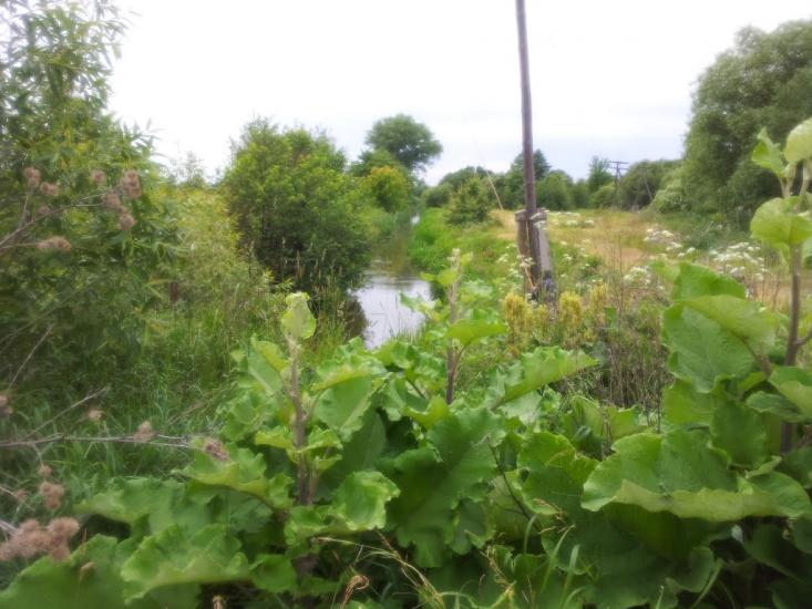 Кримок з panoramio.com - Крымок