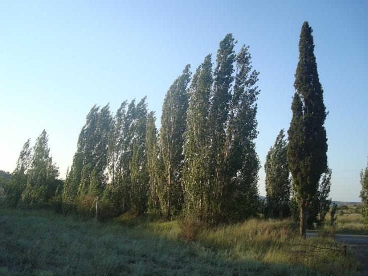 Багатівка з panoramio.com - Богатовка