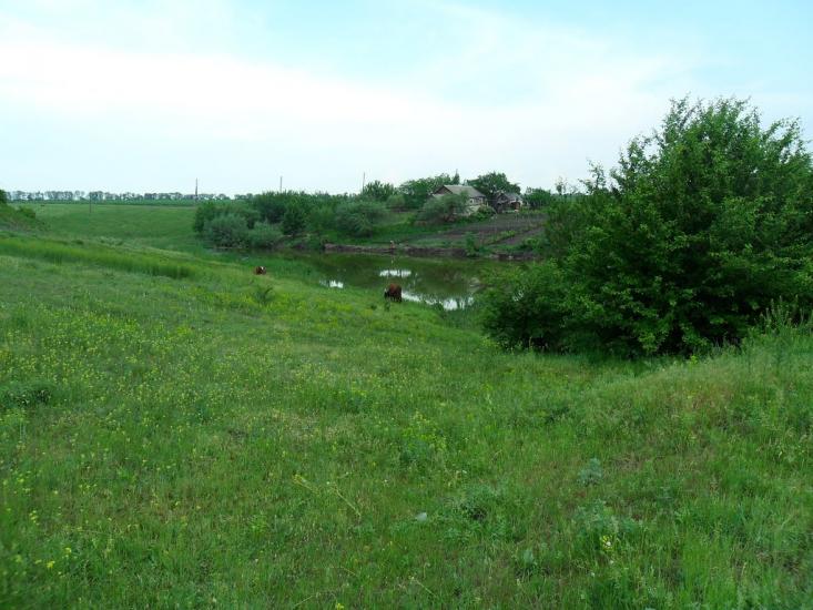 Вовче з panoramio.com - Вовче