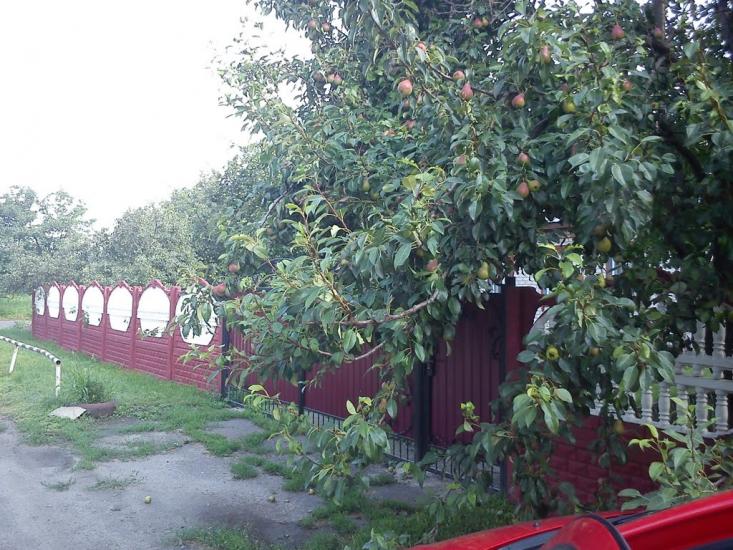 Штомпелівка з panoramio.com - Штомпелівка