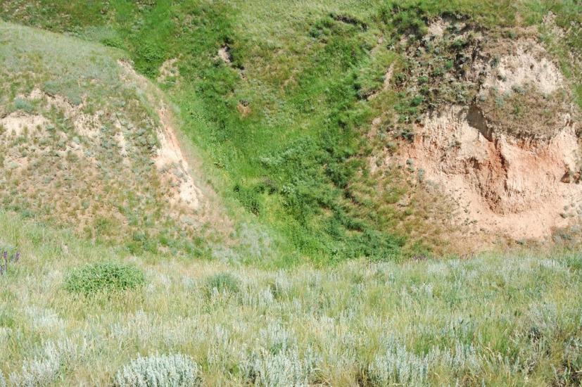 Олександрівка з panoramio.com - Александровка