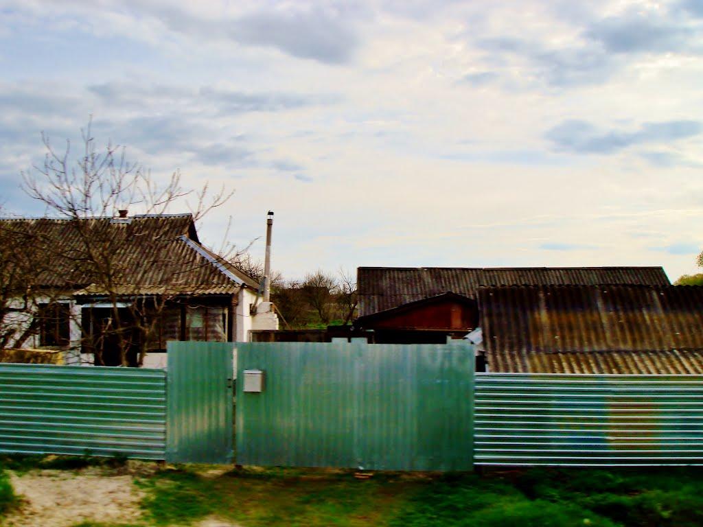 Тараща з panoramio.com - Тараща