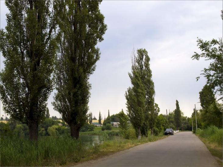 Богданівка з panoramio.com - Богданівка