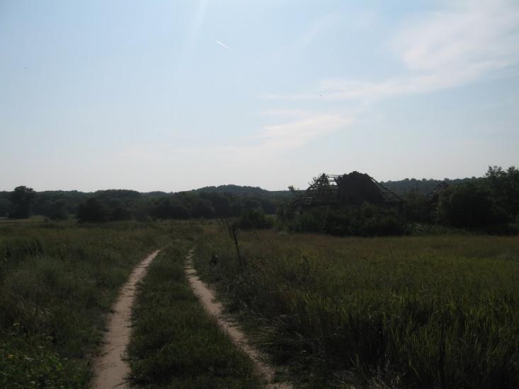 Плавні з panoramio.com - Плавни