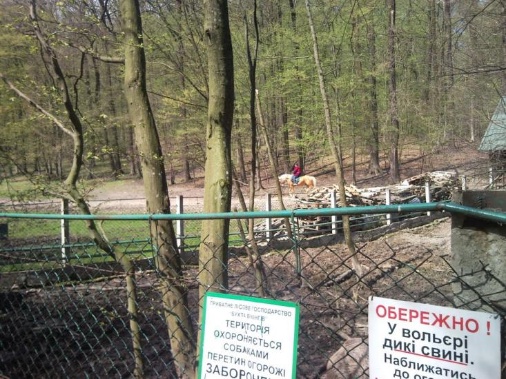 Старе Село з panoramio.com - Старое Село