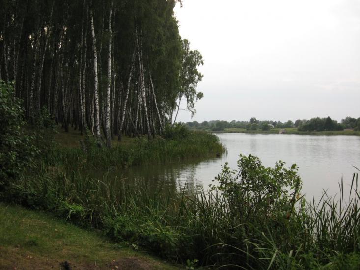 Рогощі з panoramio.com - Rogoschi