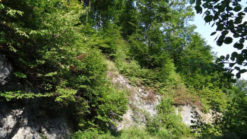 Луг з panoramio.com - Луг